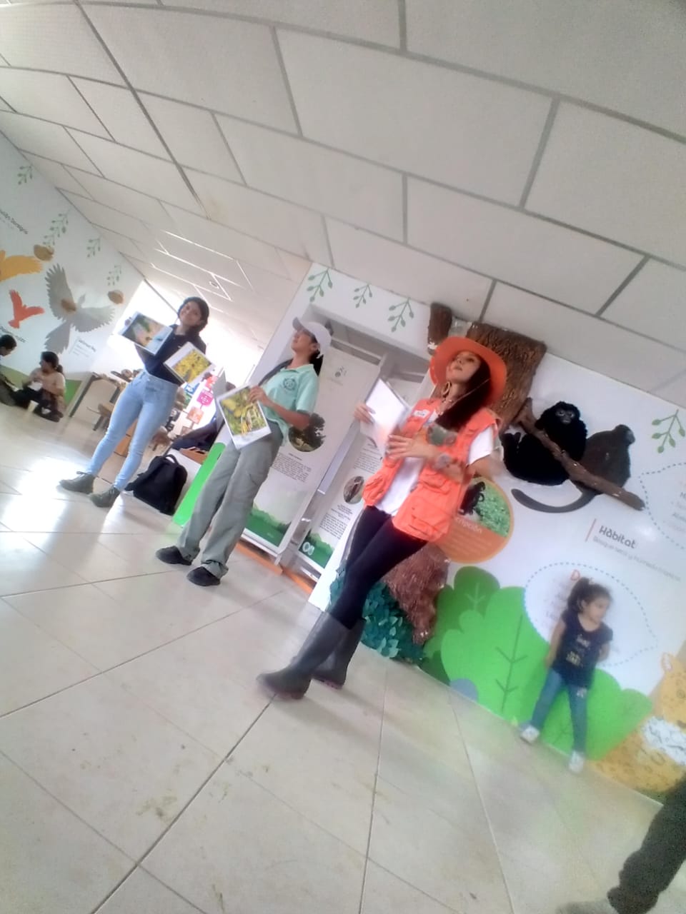 Imagen 52